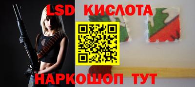 прущие грибы Краснодар