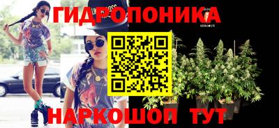 скорость Краснознаменск