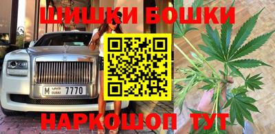 прущие грибы Краснодар