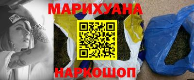 прущие грибы Краснодар