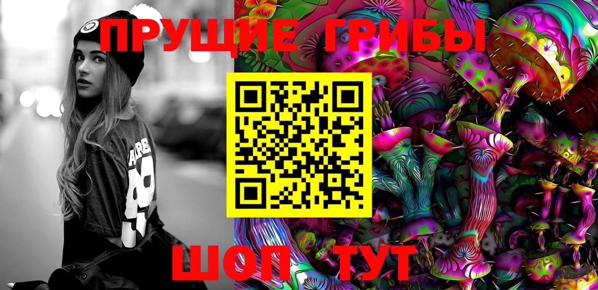 Псилоцибиновые грибы GOLDEN TEACHER Троицк