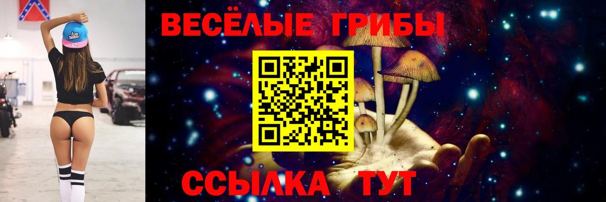 Троицк  Галлюциногенные грибы GOLDEN TEACHER  Вход с VPN 